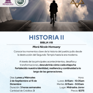 Historia II - Biblia VIII